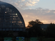 Conservatory at sunset